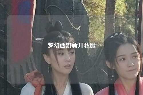梦幻西游新开私服