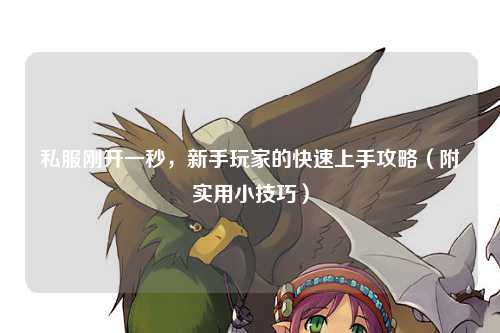 私服刚开一秒，新手玩家的快速上手攻略（附实用小技巧）